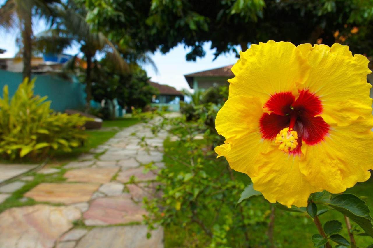 Pousada Recreio Da Praia Vila do Abraao ภายนอก รูปภาพ